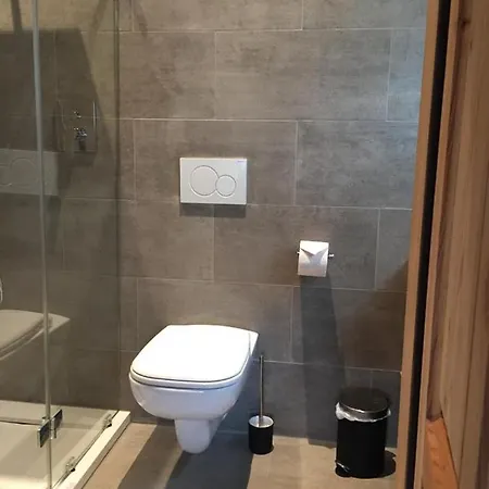 Daire Bootshaus Am Hallstaetter